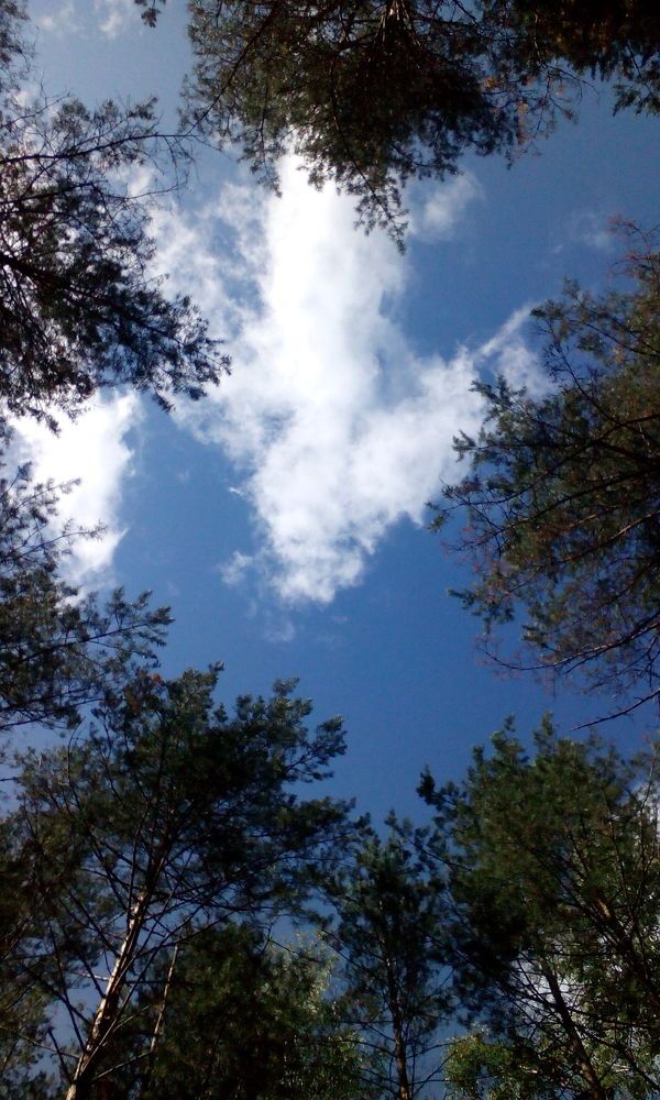 Photograph by Margarita