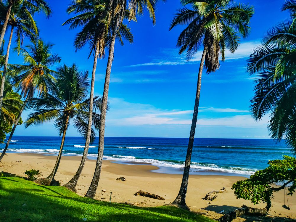 Photograph by Andres Alvarado