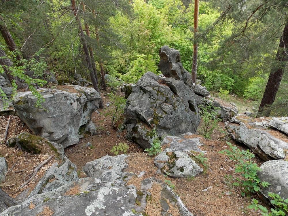 Photograph by Татьяна Иваненкова