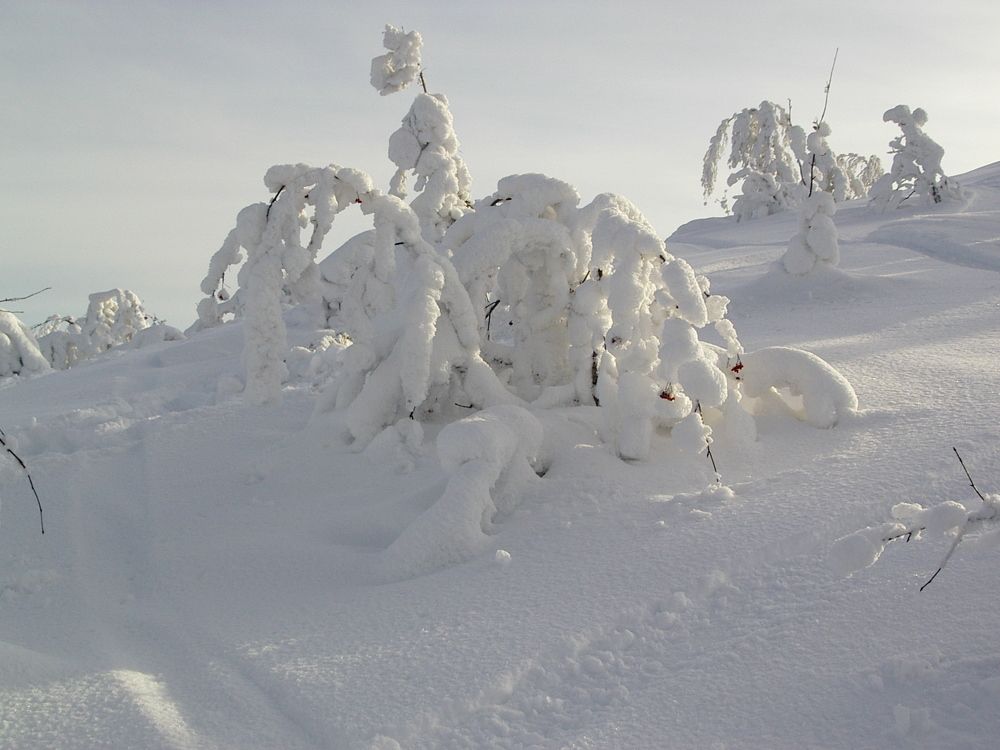 Фотография автора Дмитрий Брюхов