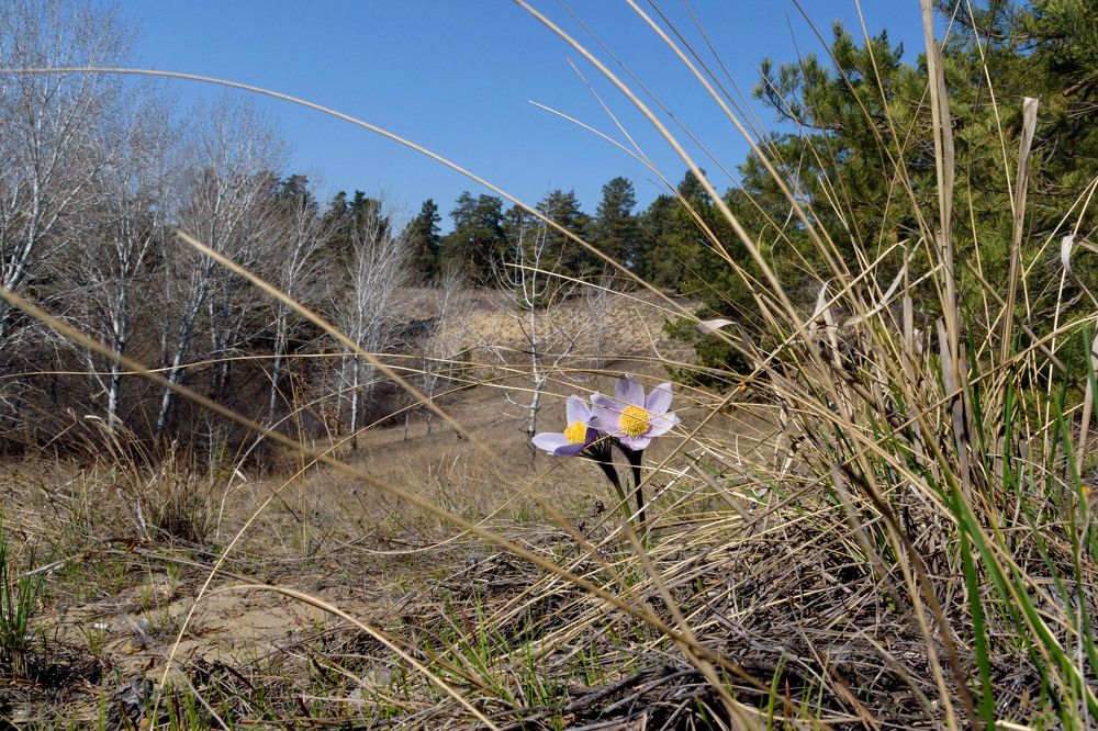 Photograph by Светлана Артюшина