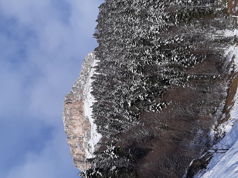 Photograph by Виктория Стецко