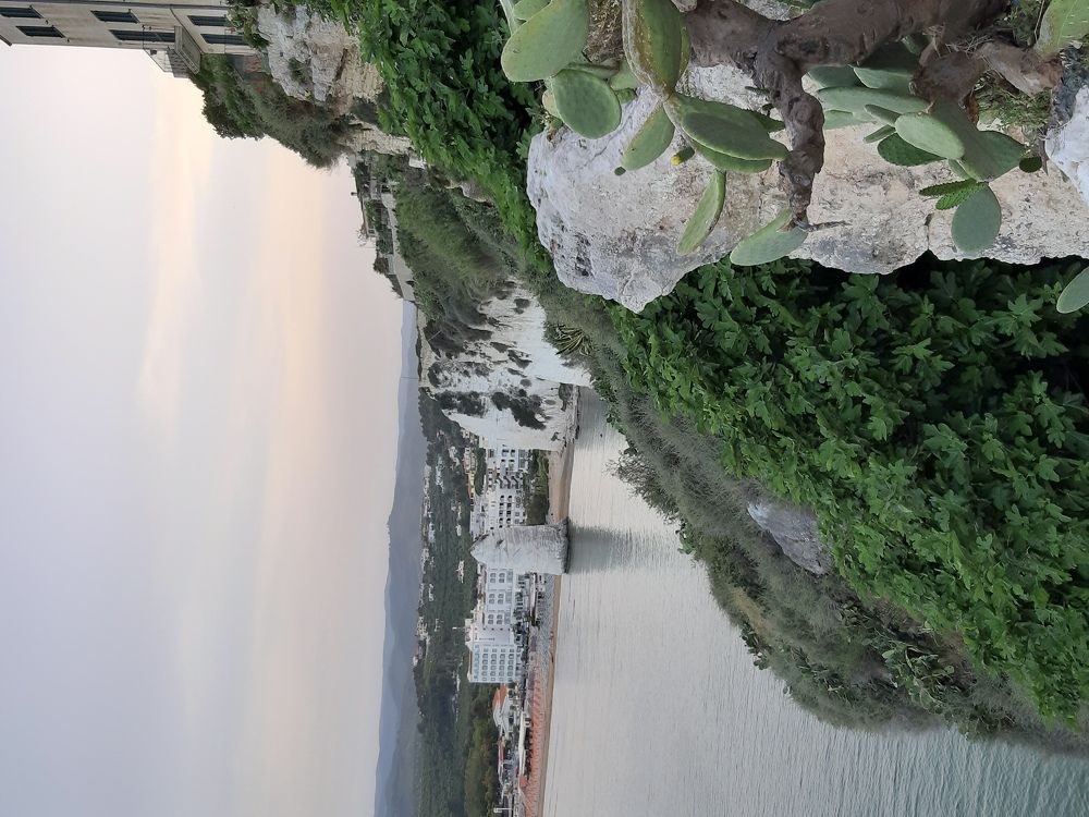 Photograph by Виктория Стецко