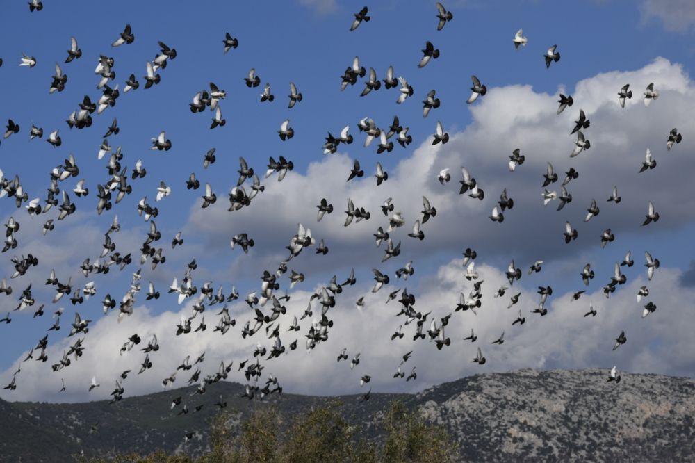 Photograph by Елени Володькова