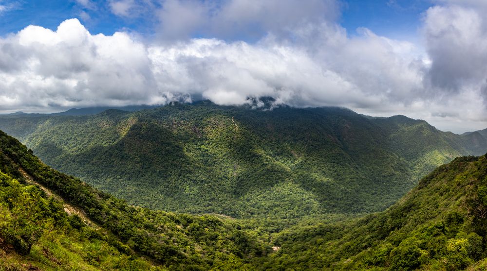 Photograph by Vinod Kumar Kulkarni