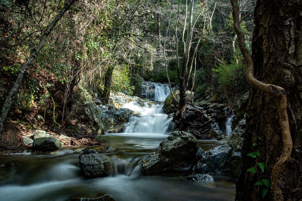 Фотография автора EYUP HÜDAVERDİOĞLU