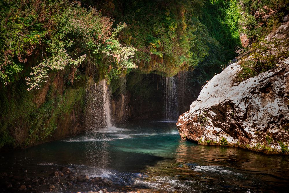 Фотография автора EYUP HÜDAVERDİOĞLU