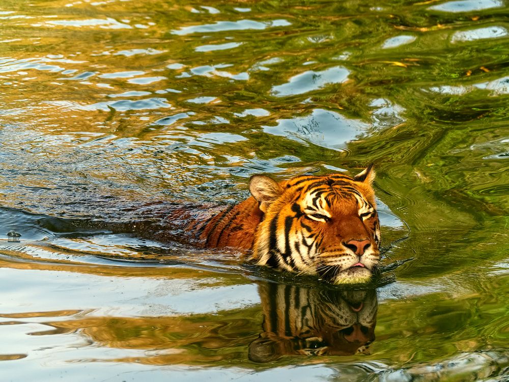 Photograph by Daniel Paredes