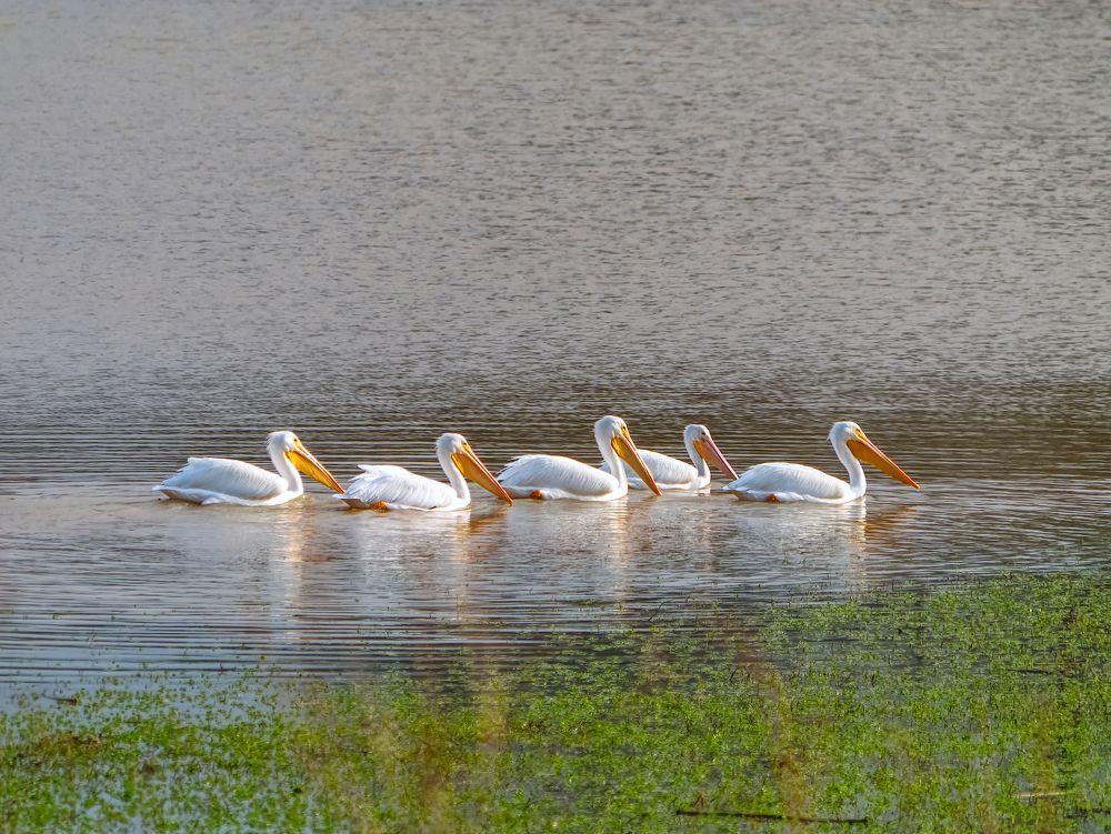 Photograph by Daniel Paredes