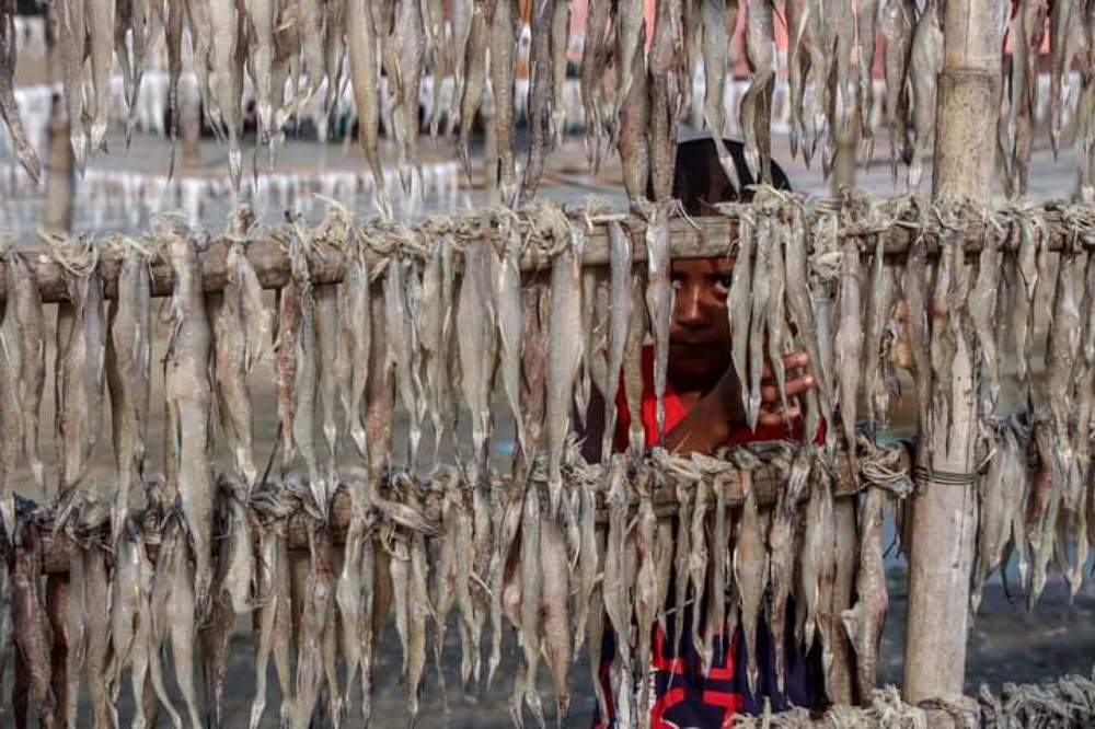 Photograph by Md. Khairul Islam