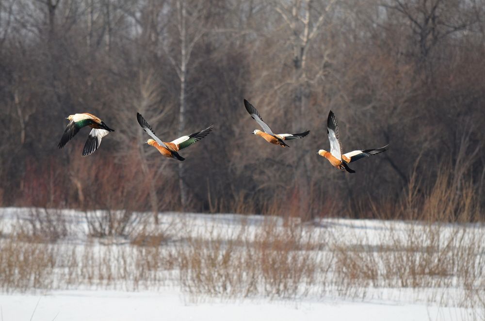 Photograph by Anna Kichapina