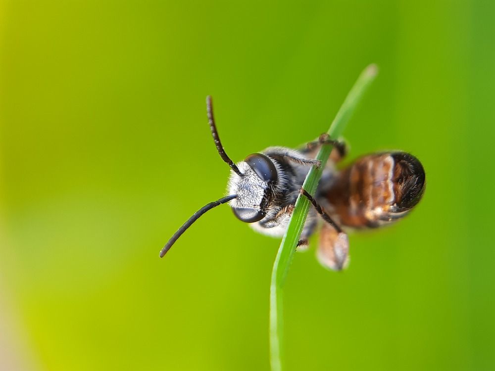 Photograph by Tikeswar Gahir