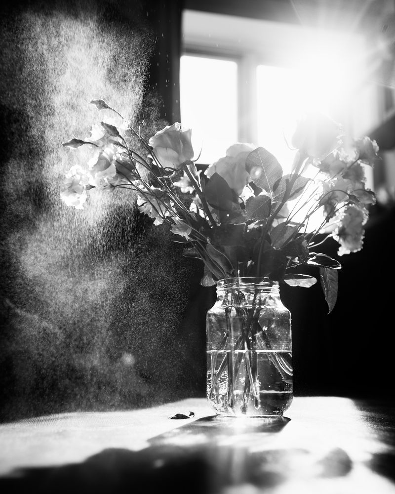 Фотография автора Елена Кедрова