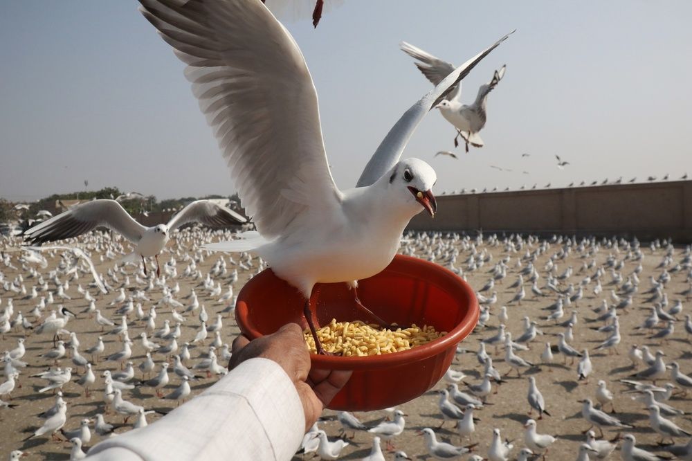 Photograph by Bapodara Sugha