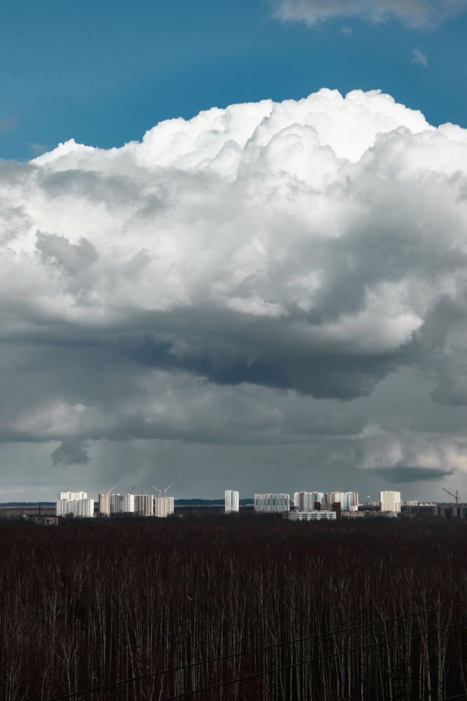 Photograph by Елена Никитина