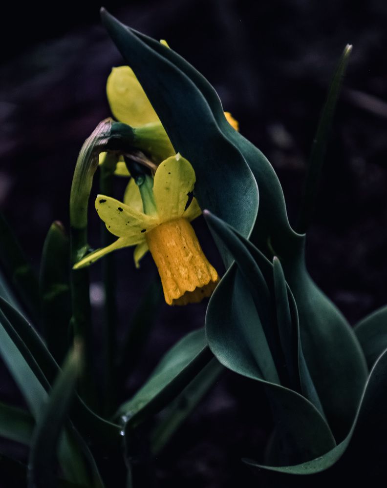 Photograph by Simona Ariton