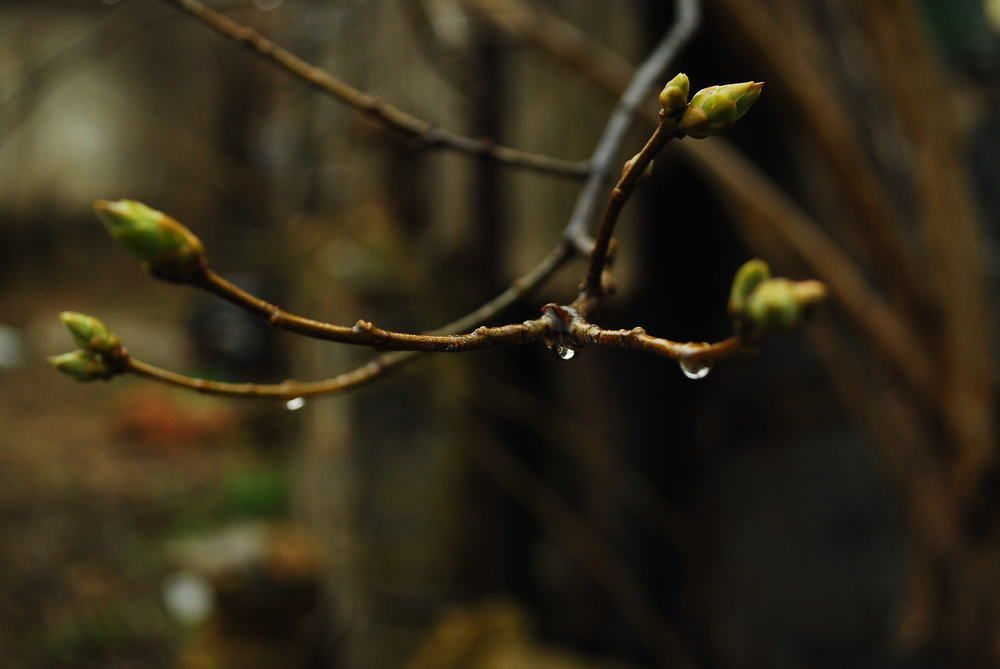 Photograph by Simona Ariton