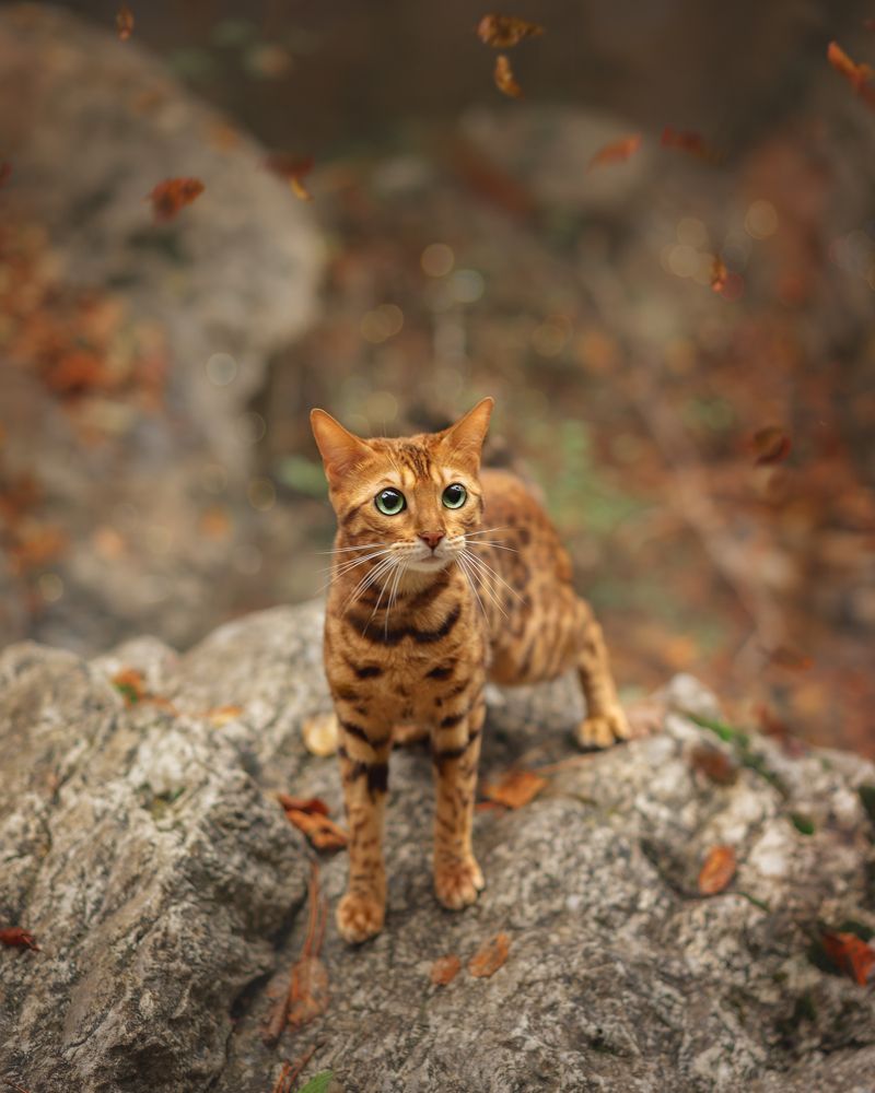 Photograph by Карина