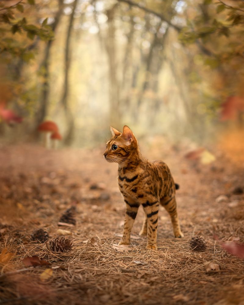 Photograph by Карина