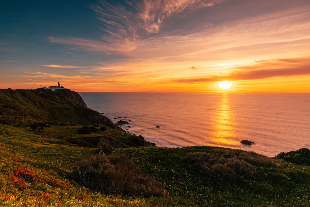 Photograph by Rui Cardoso