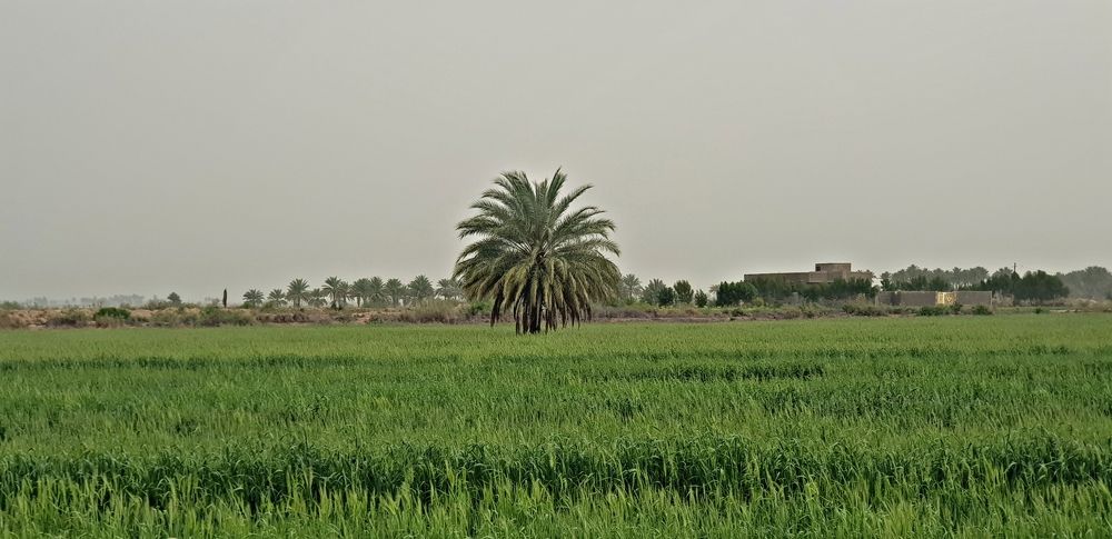 Photograph by kassem al attabi