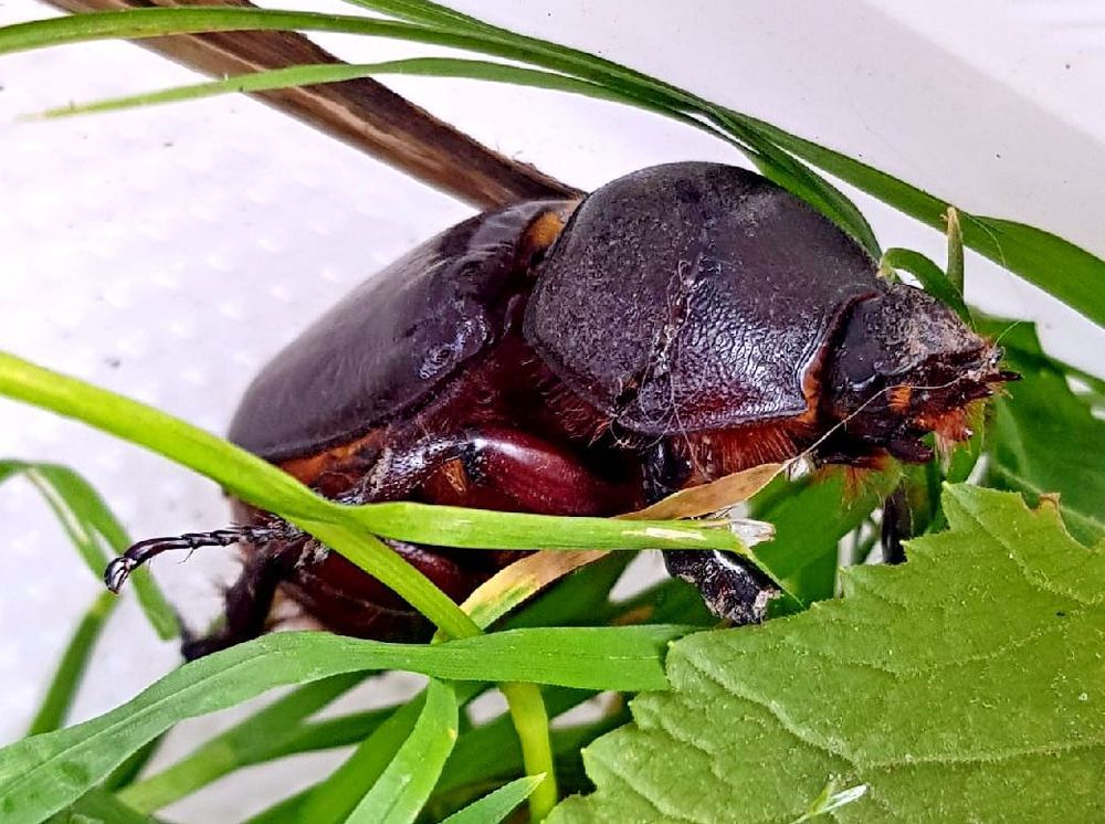 Photograph by леонид натапов