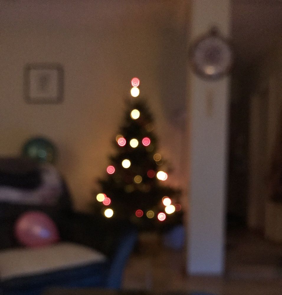 Photograph by Sanja Dozet