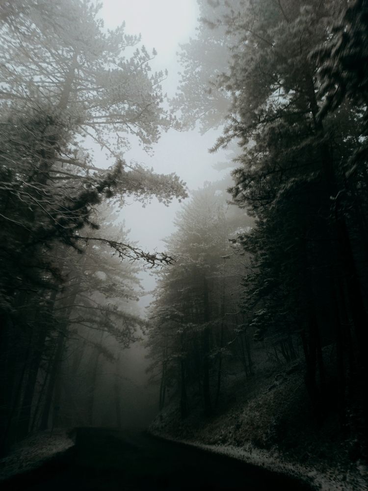 Туманная дорога на Ай-Петри