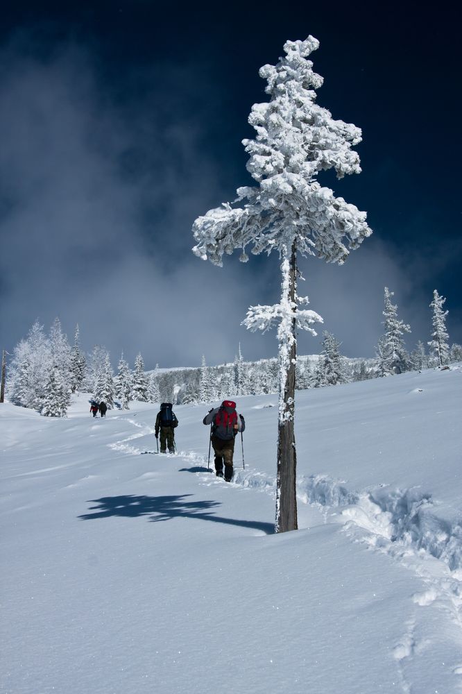 Фотография автора Aleksandr Zubakin