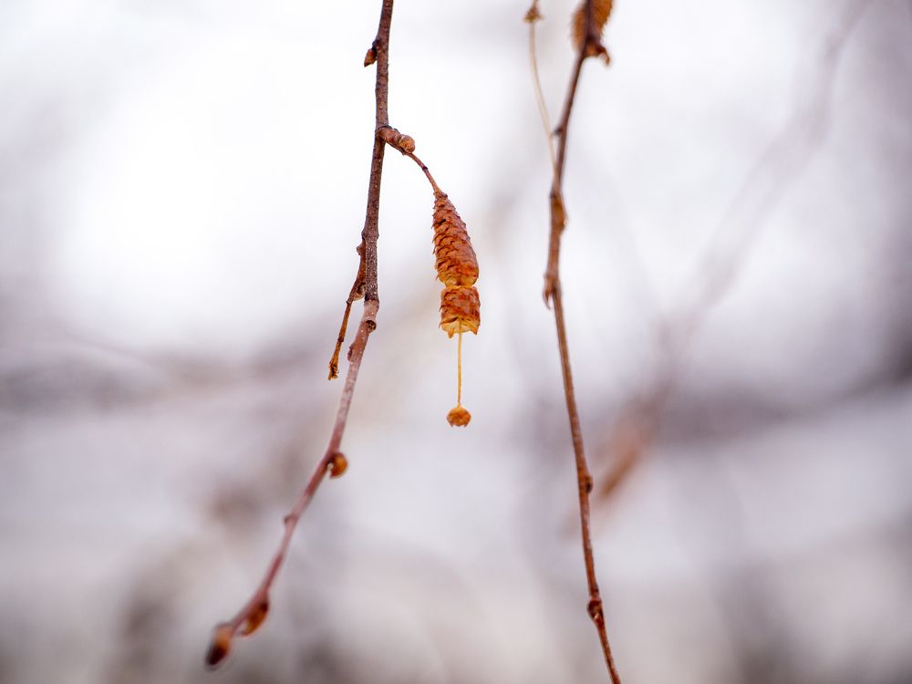 Photograph by Dmitriy