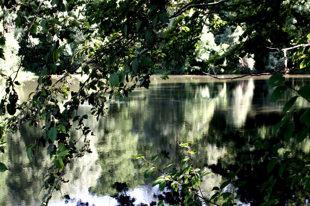 Photograph by Сергей Рапопорт