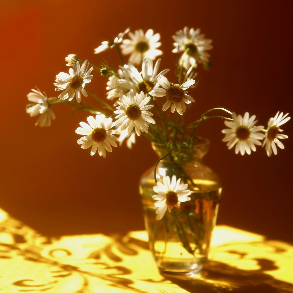 Photograph by Наталья Букарева