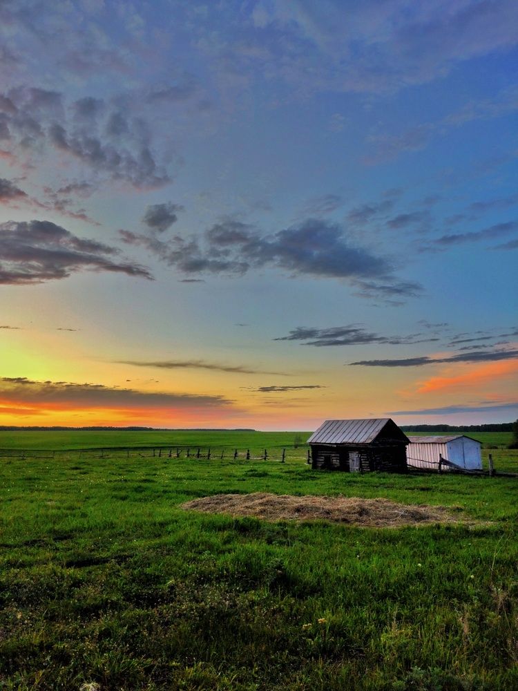 Photo #6003495
