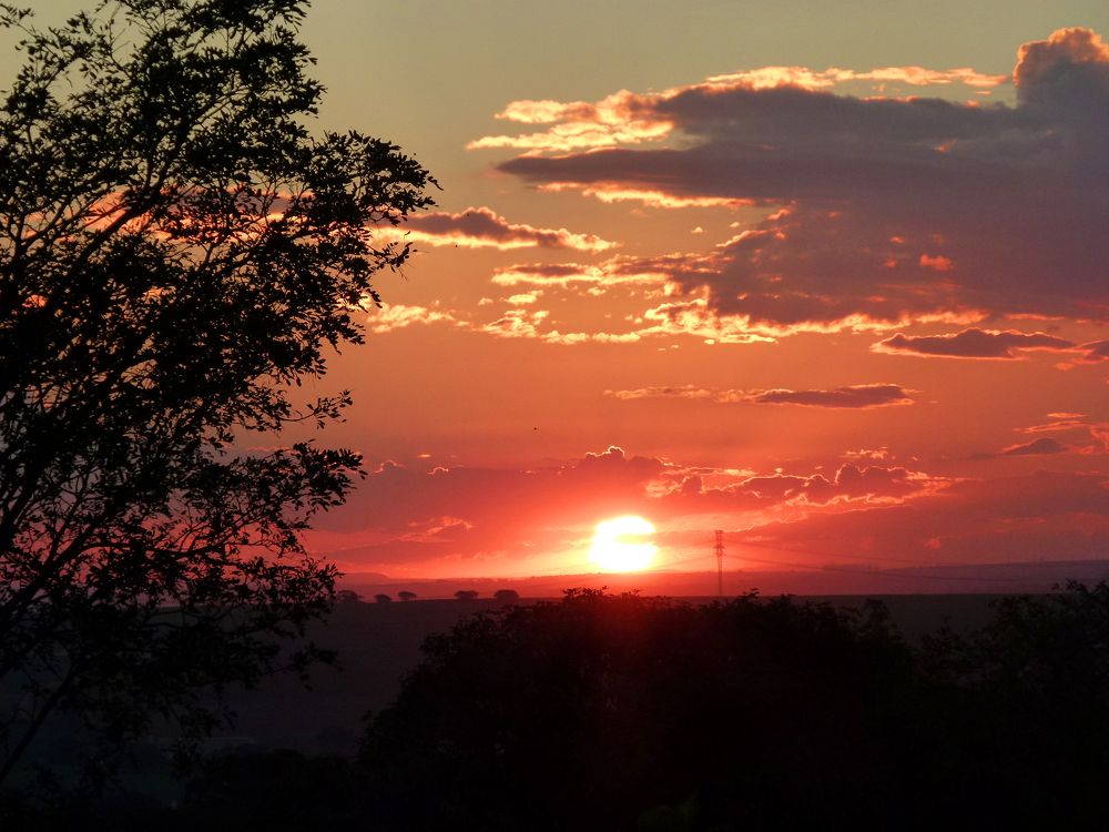 Фотография автора Silvia Tereza Ferrante de Lima