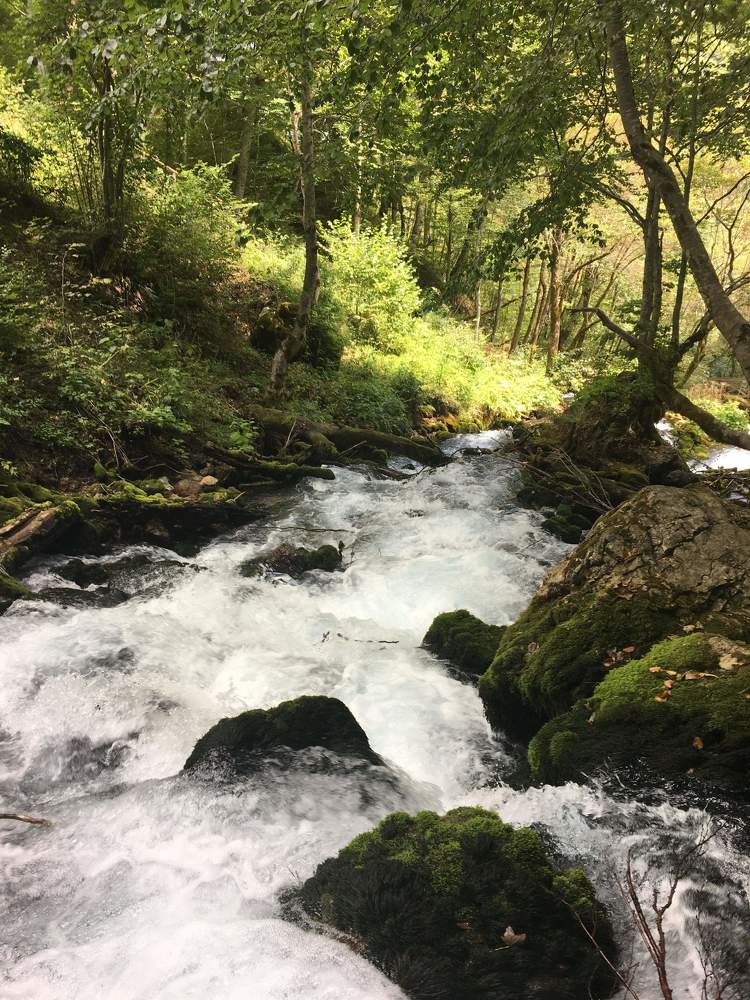 Фотография автора Арина Мясникова