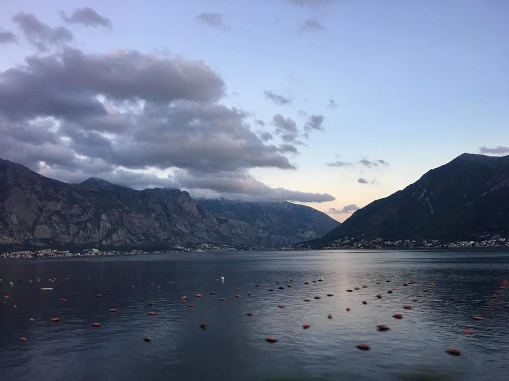 Фотография автора Арина Мясникова