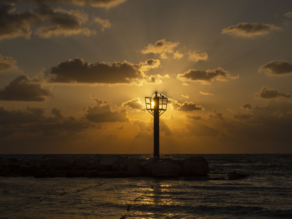 Photograph by Svetlana