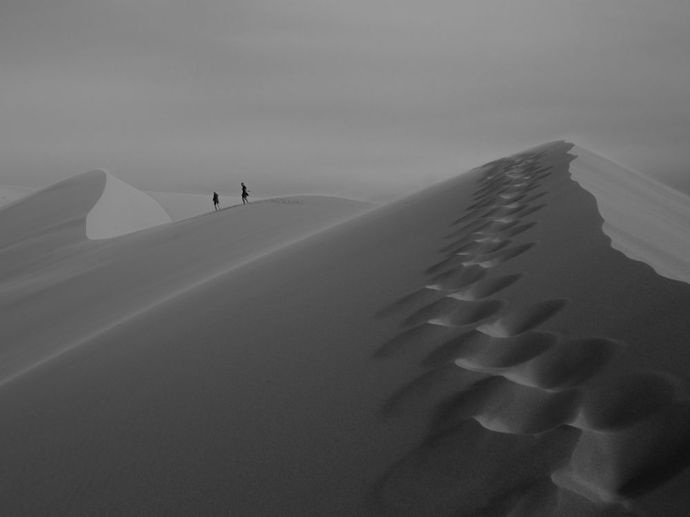 Хонгорын-Элс (Поющие пески), пустыня Гоби,  Монголия