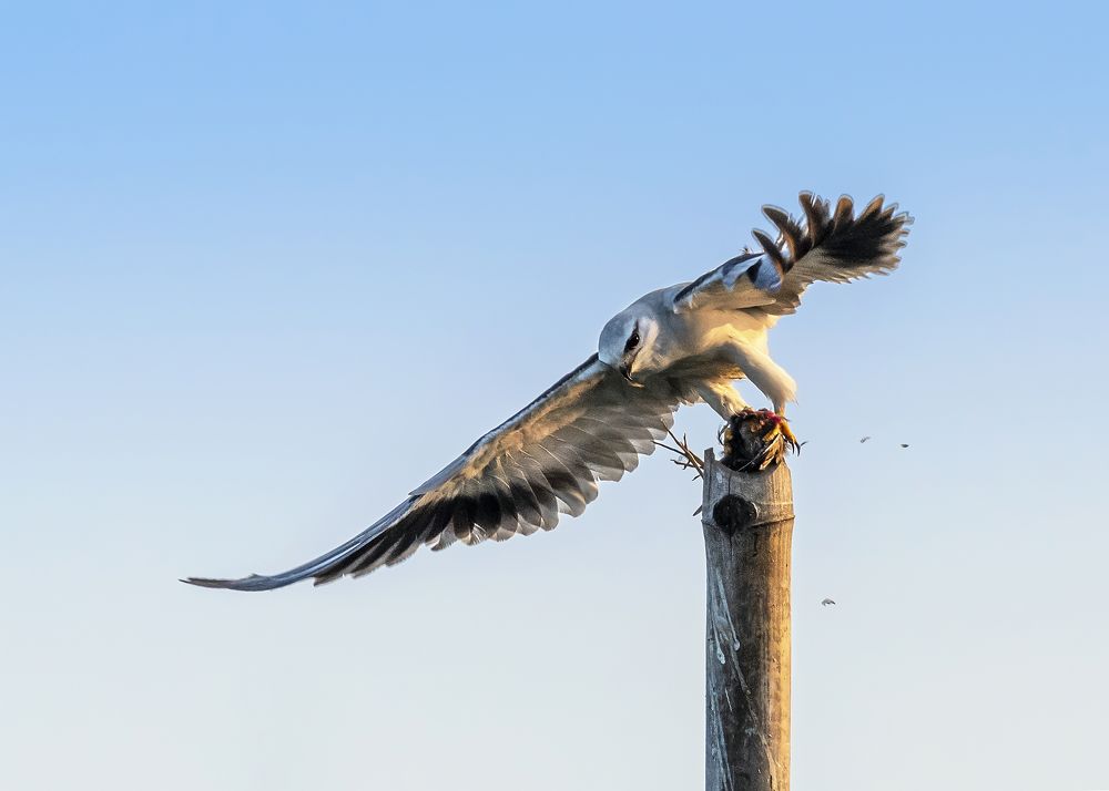 Photograph by Subhadeep Saha