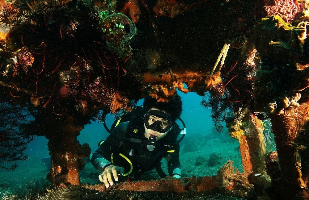 Hide and Seek Behind The Artificial Reef