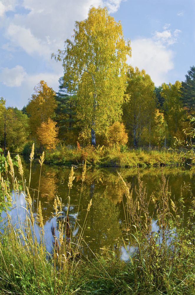 Photograph by Анатолий Васильев