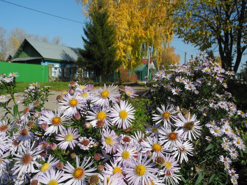 Photograph by Рустэм Жемалетдинов