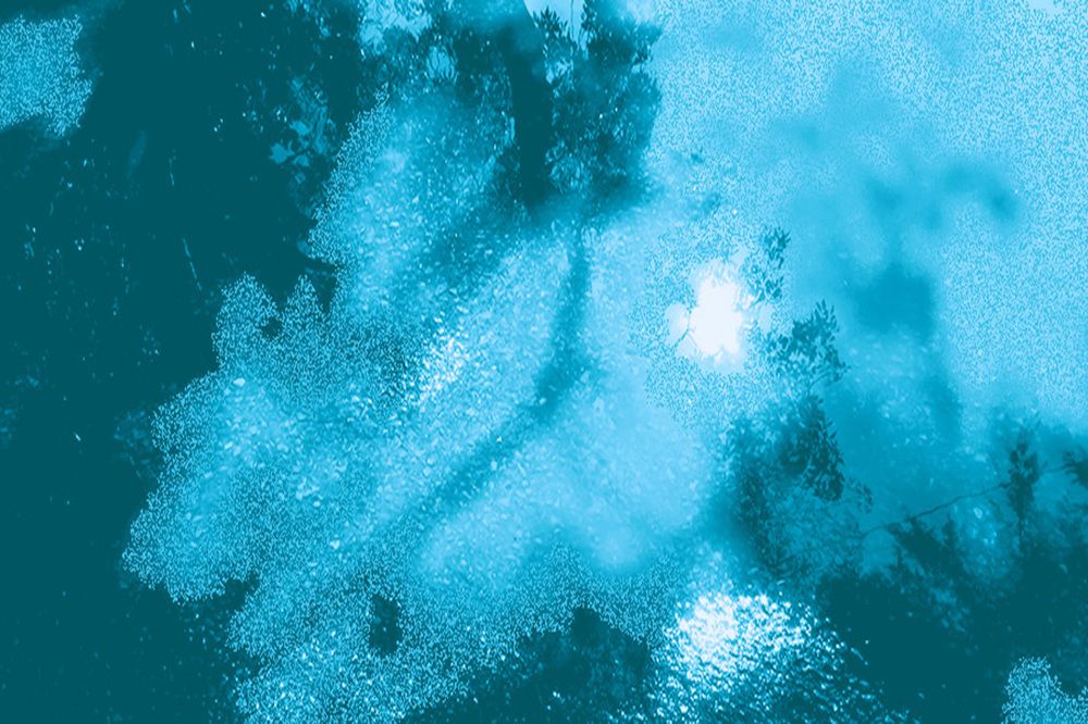 Photograph by GERMÁN DÍAZ