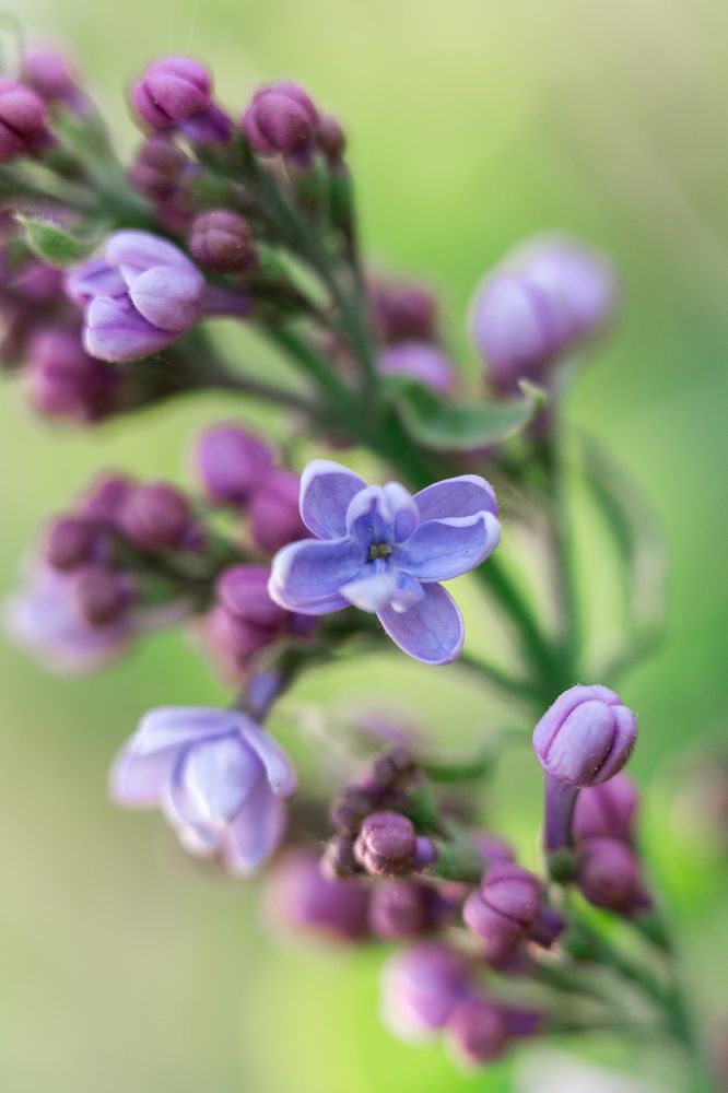 Photograph by Анастасия Петрова
