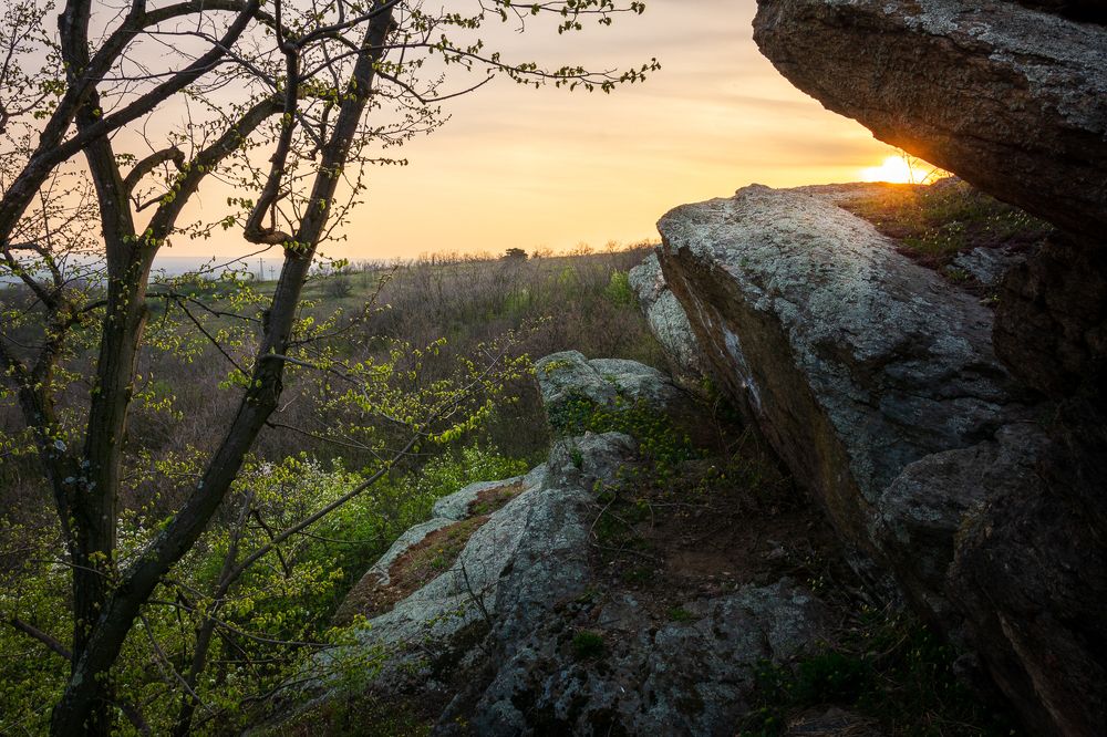 Photograph by Petar Tomić