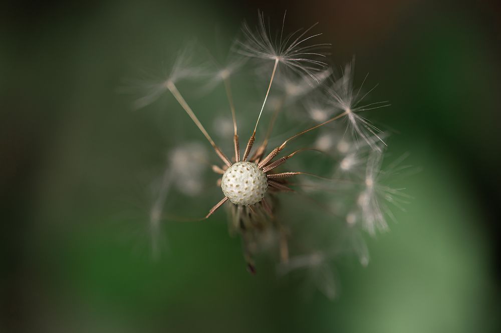 Photograph by Анастасия Петрова