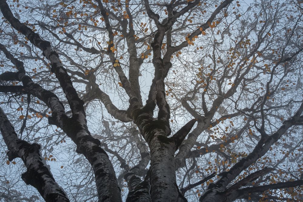 Photograph by Helen Vasilieva