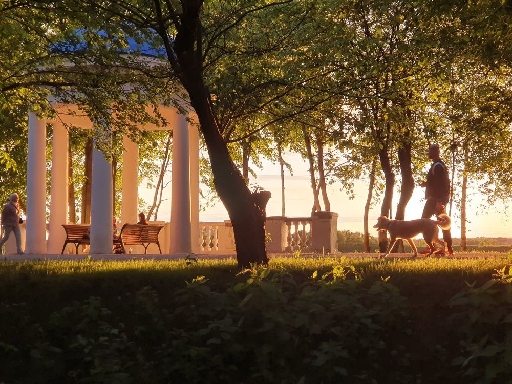 Золотой закат