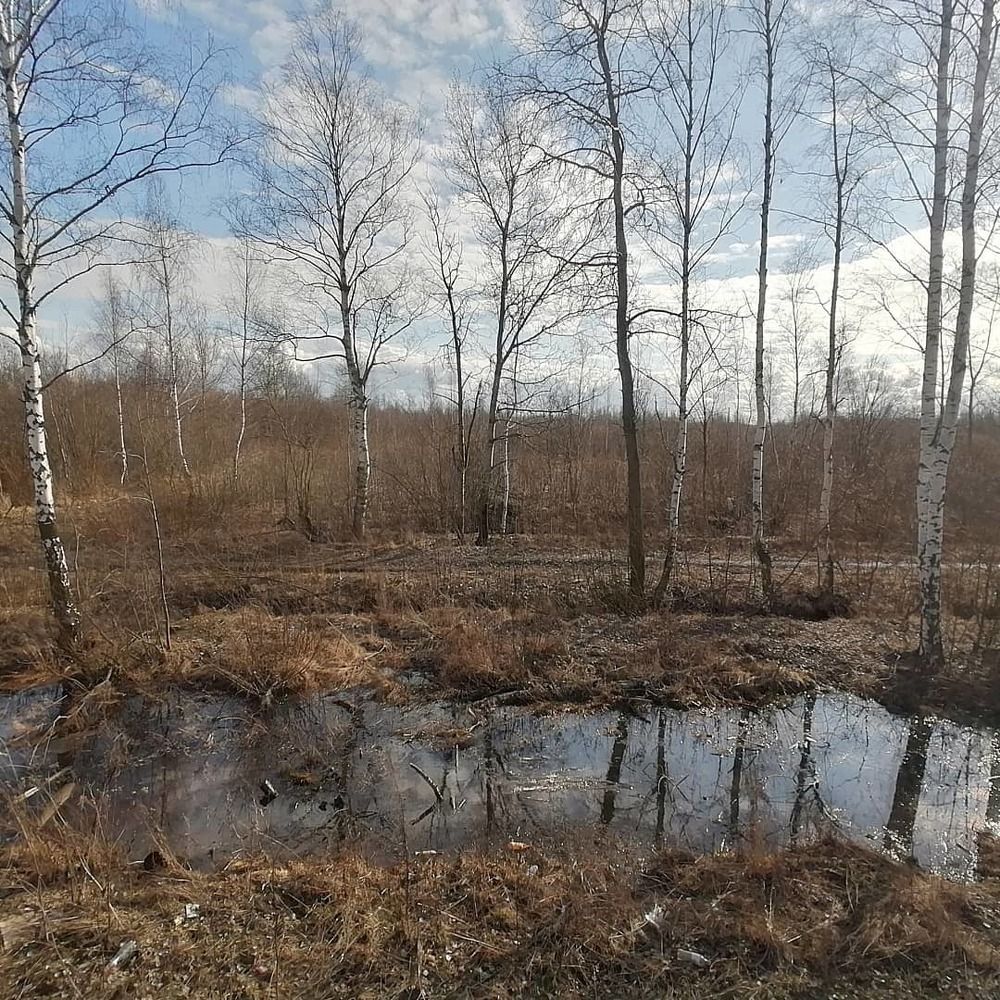 Photograph by Алексей Смирнов
