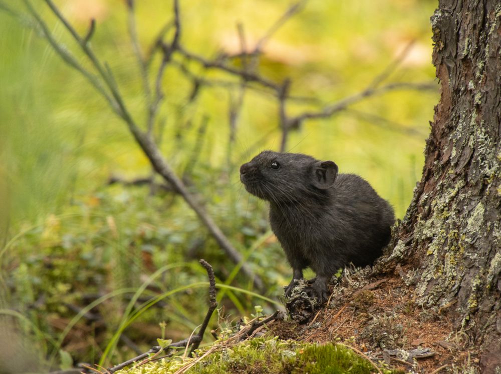 Photograph by Петр Землянухин